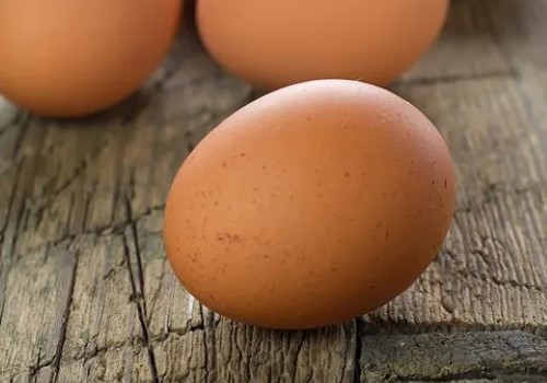 https://shp.aradbranding.com/قیمت خرید تخم مرغ محلی درشت + فروش ویژه